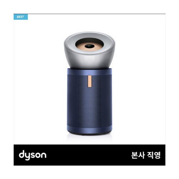 다이슨 빅 앤 콰이엇 포름알데히드 공기청정기(니켈블루)